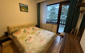 Апартамент Деница